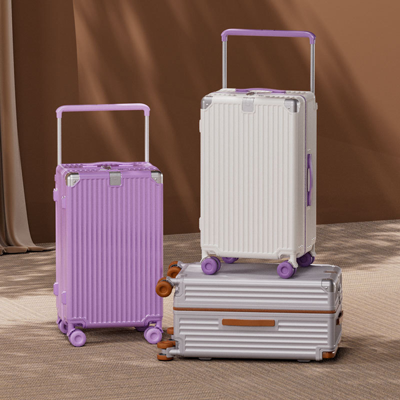 Spinner Wheel Rolling Suitcase 20 Inch - Valigia da viaggio con manico telescopico,